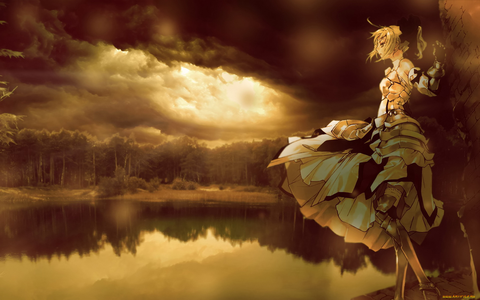 , fate, stay, night, , 